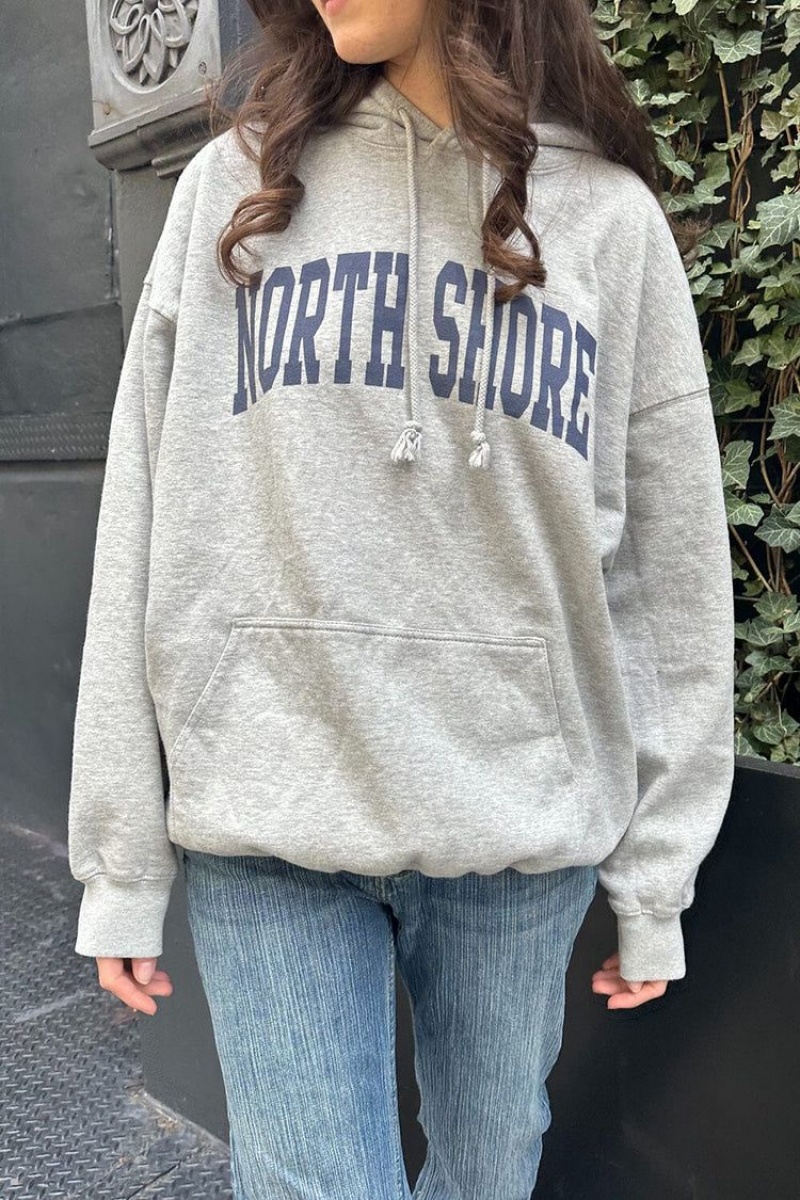 Sweat a Capuche Brandy Melville Christy North Shore Grise | BJQ-04775162